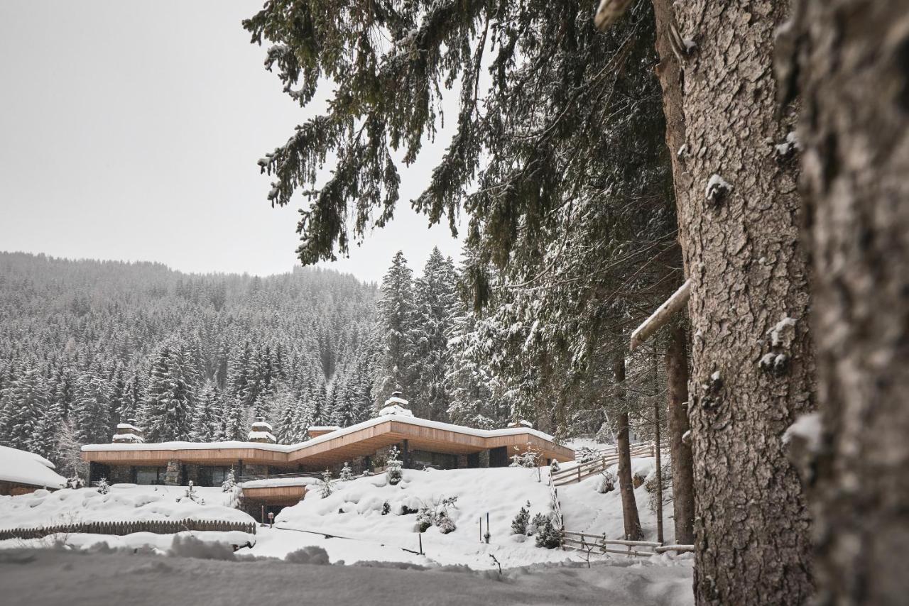 Tenne Chalets Racines Exterior foto